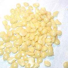 Ӳ��΢����